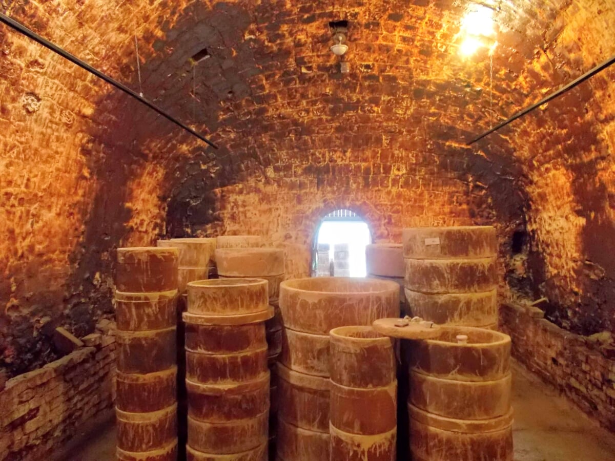 志田焼の里博物館の写真4