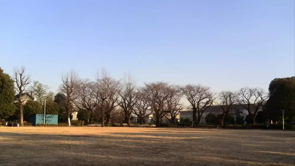 文理台公園の写真1