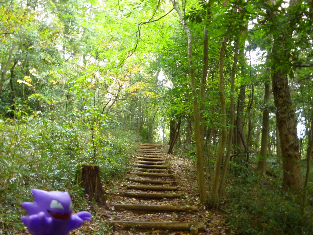 八国山緑地の写真2