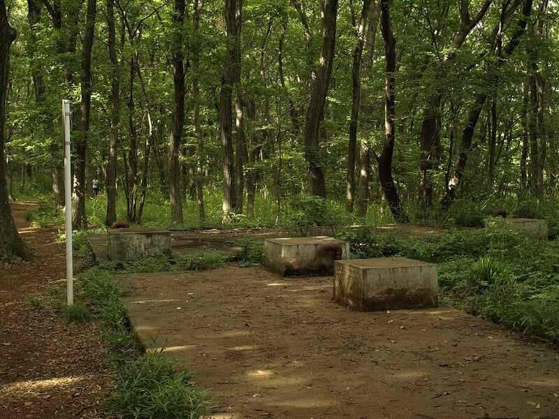 八国山緑地の写真3