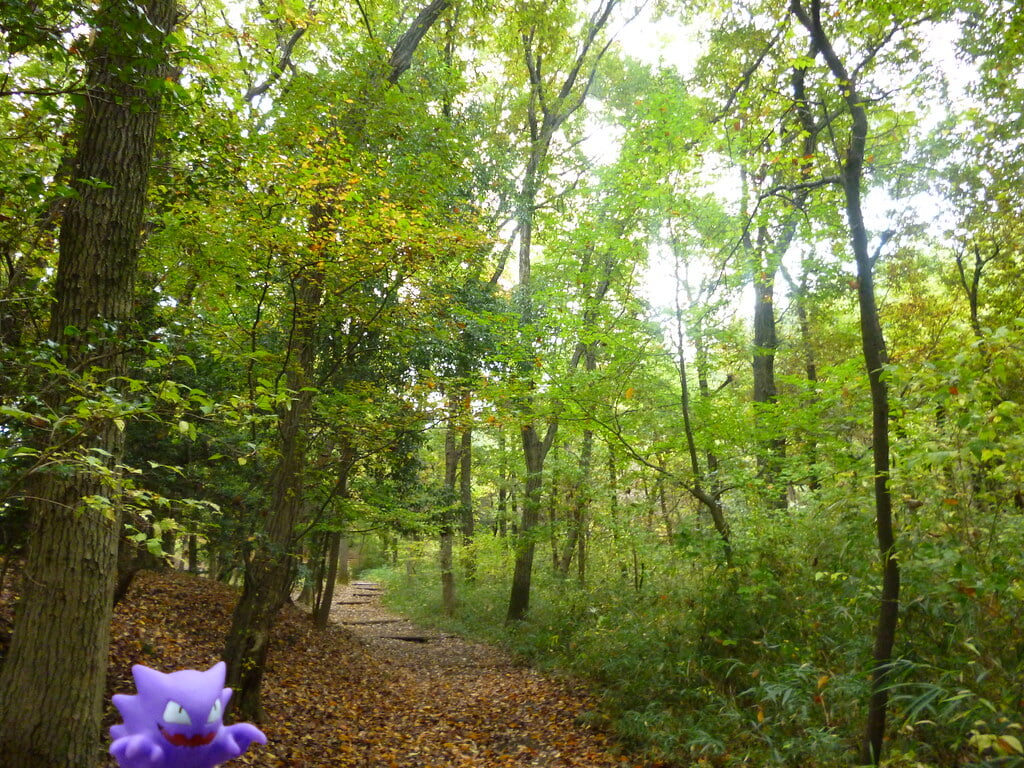 八国山緑地の写真7