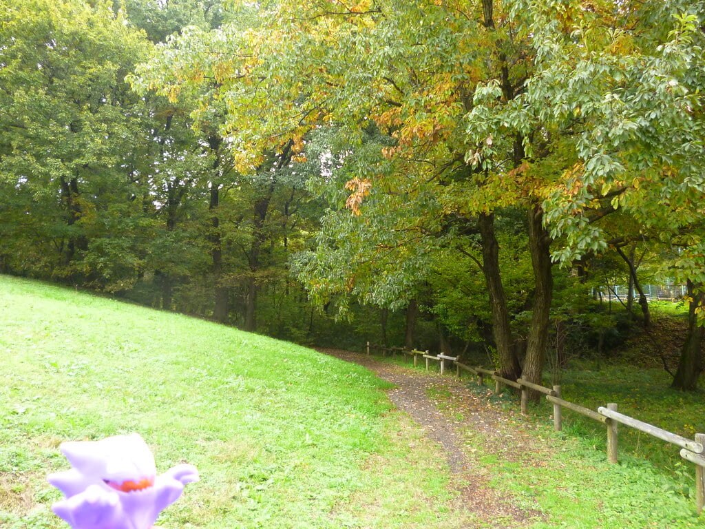 八国山緑地の写真8