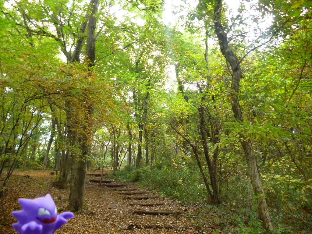 八国山緑地の写真9