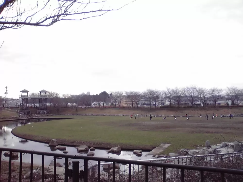 反町の森公園の写真1