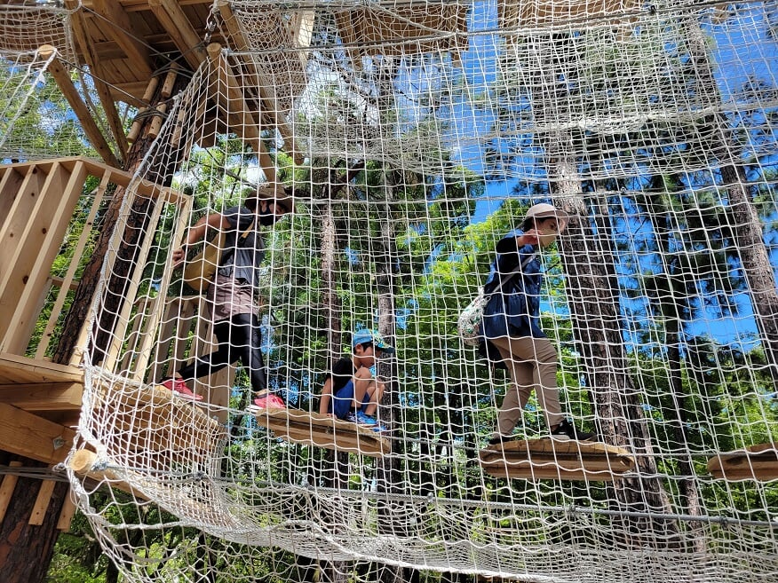 ボウケンノモリ 長居公園の写真4