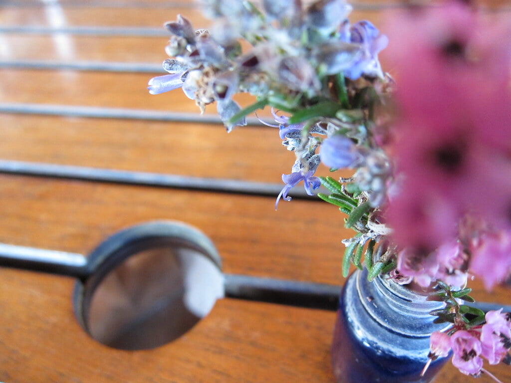 体験型ハーブ園 大神ファームの写真3