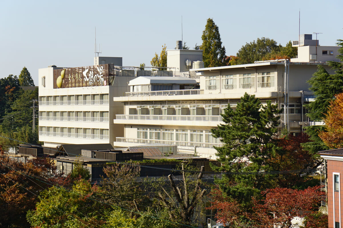 有馬温泉 太閤の湯の写真1
