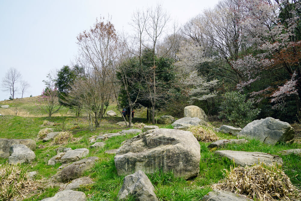 こんだ薬師温泉 ぬくもりの郷の写真2