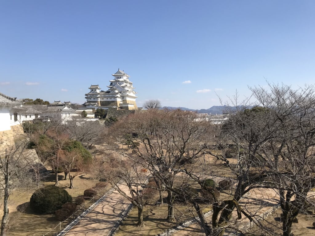 大阪城公園 西の丸庭園の写真3