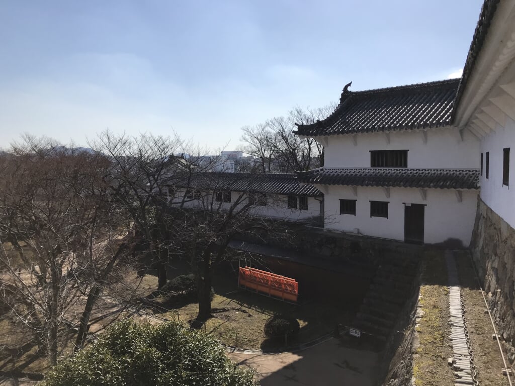 大阪城公園 西の丸庭園の写真6