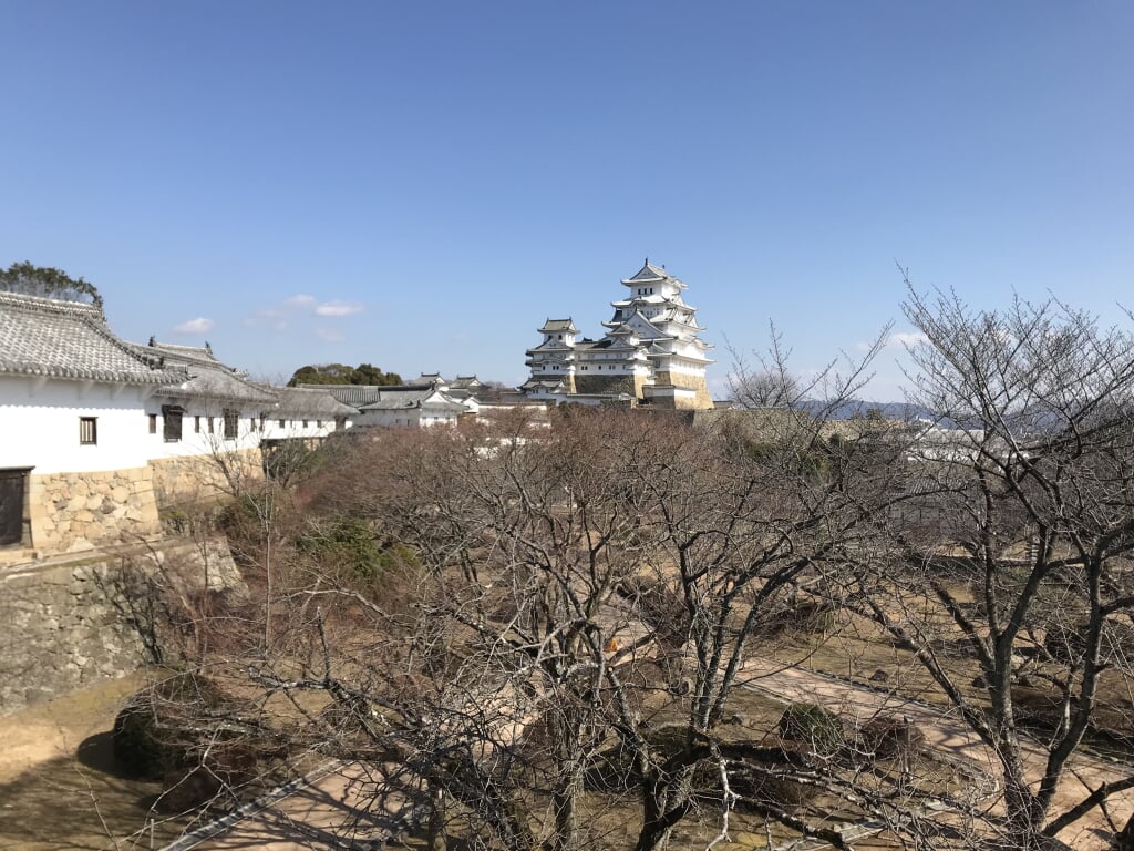大阪城公園 西の丸庭園の写真7