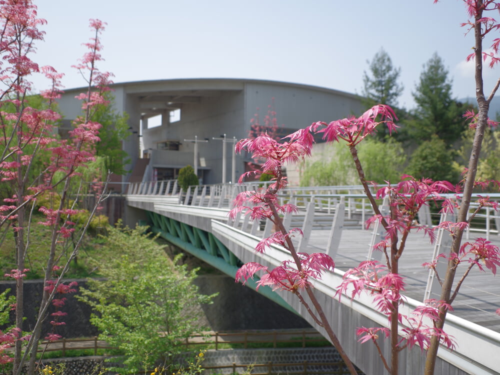 かもきみの湯の写真1