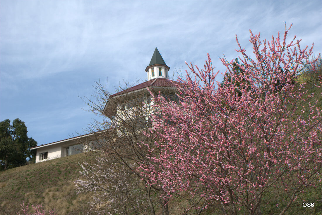 ゴールデンユートピアおおちの写真2