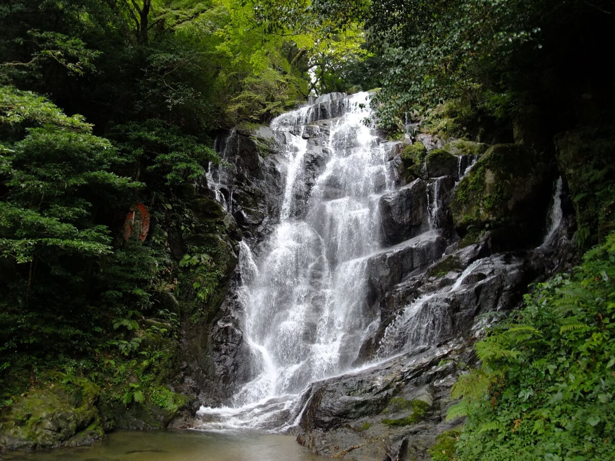 白糸の滝の写真1