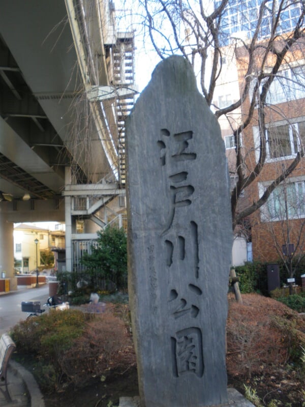 江戸川公園の写真3