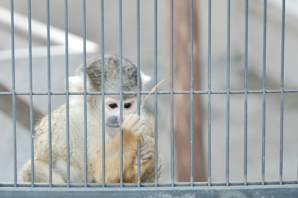 あらかわ遊園の写真5