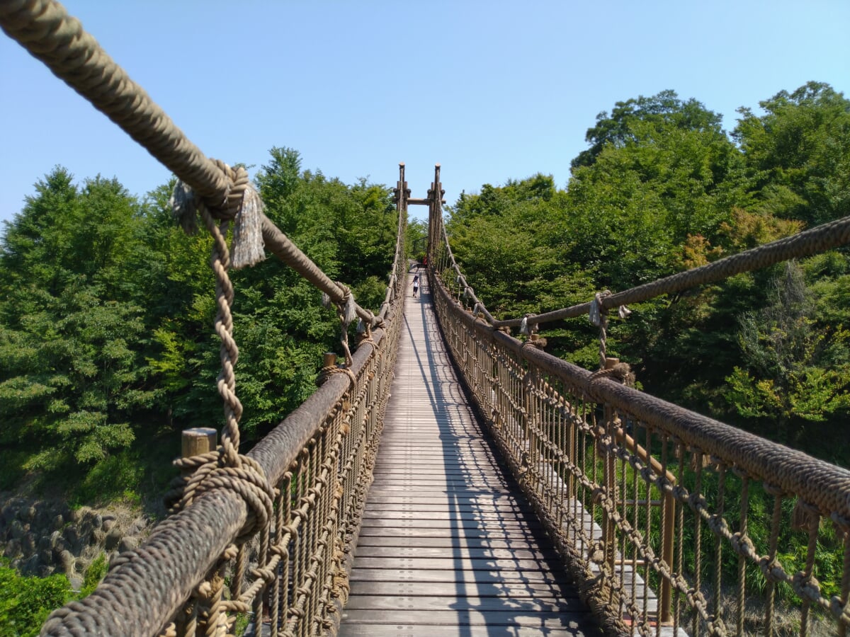 小田原 こどもの森公園わんぱくらんどの写真4
