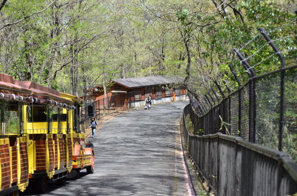 埼玉県こども動物自然公園の写真2