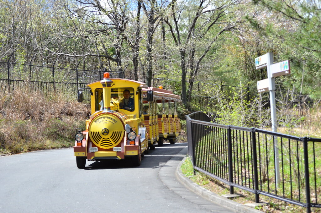 埼玉県こども動物自然公園の写真6