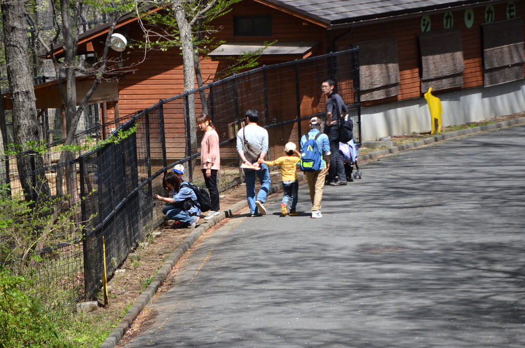 埼玉県こども動物自然公園の写真8