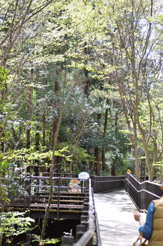 埼玉県こども動物自然公園の写真12