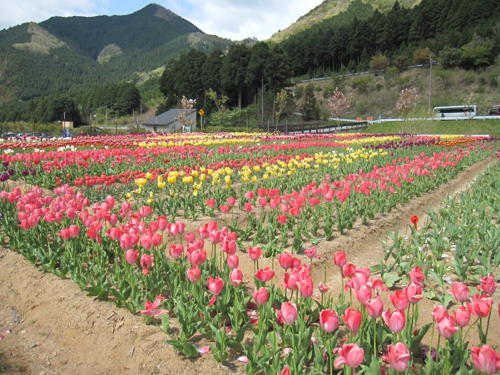 神崎農村公園 ヨーデルの森の写真2