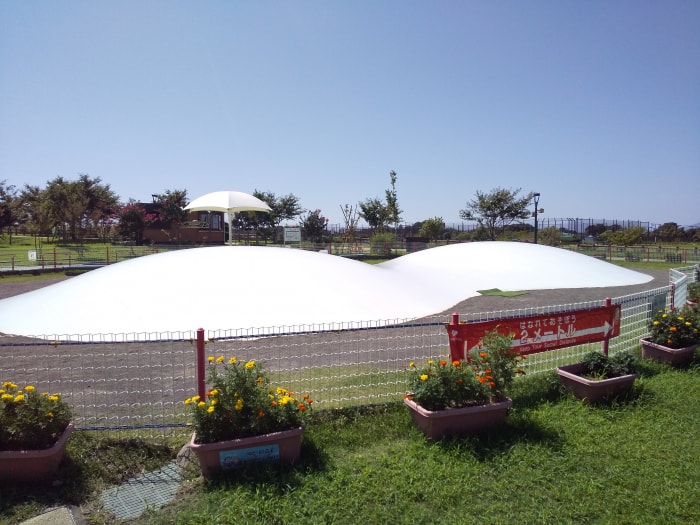 大和ゆとりの森の写真3