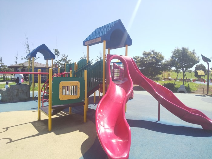 大和ゆとりの森の写真5