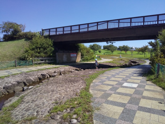 大和ゆとりの森の写真7