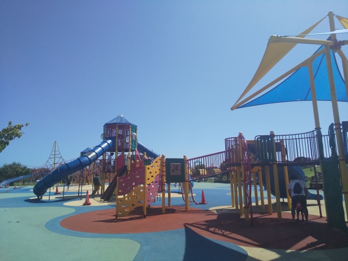 大和ゆとりの森の写真8