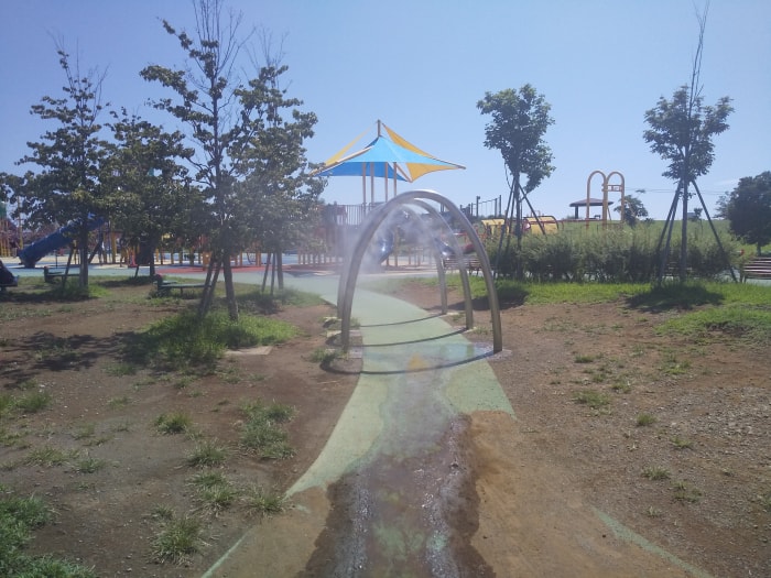 大和ゆとりの森の写真10