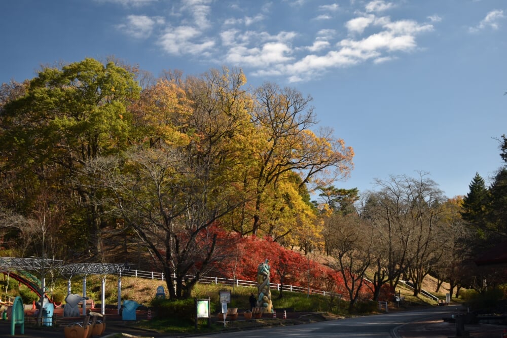 こどもの国の写真2