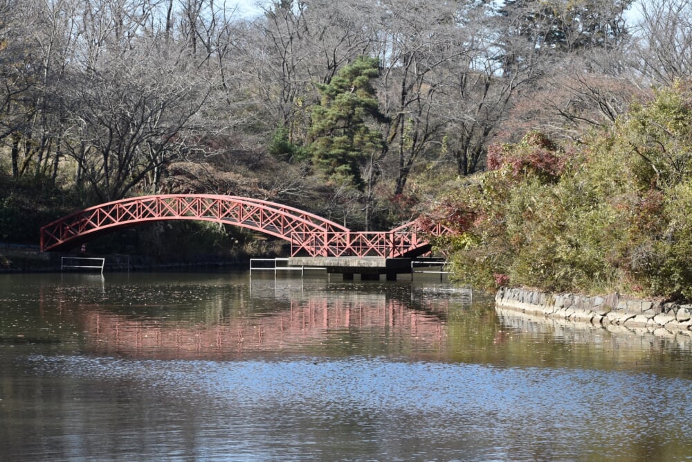 こどもの国の写真4