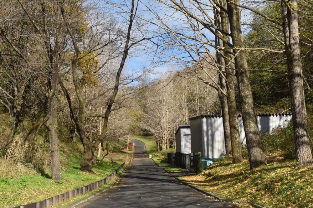 こどもの国の写真5