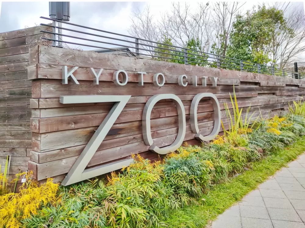 京都市動物園の写真1