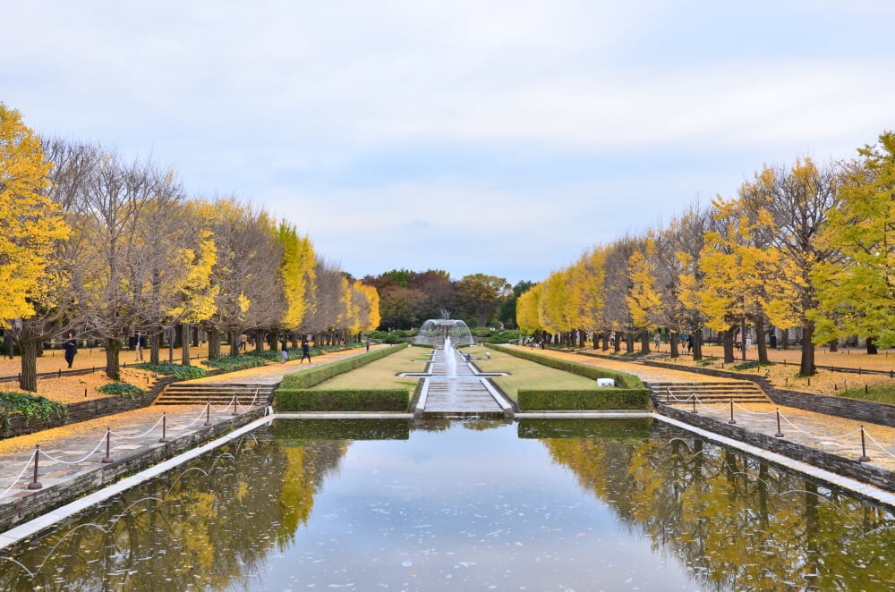 国営昭和記念公園の写真2