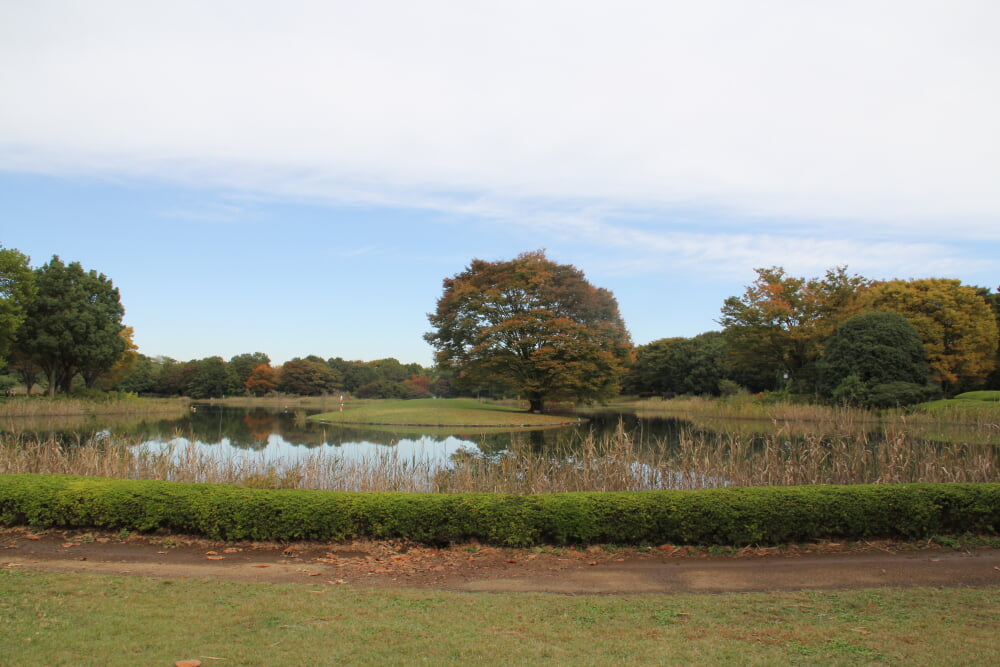 国営昭和記念公園の写真5