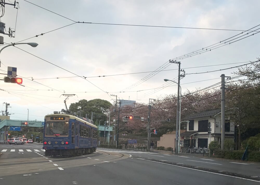 飛鳥山公園の写真5