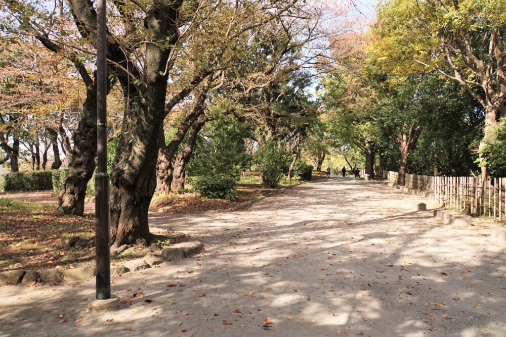 飛鳥山公園の写真8