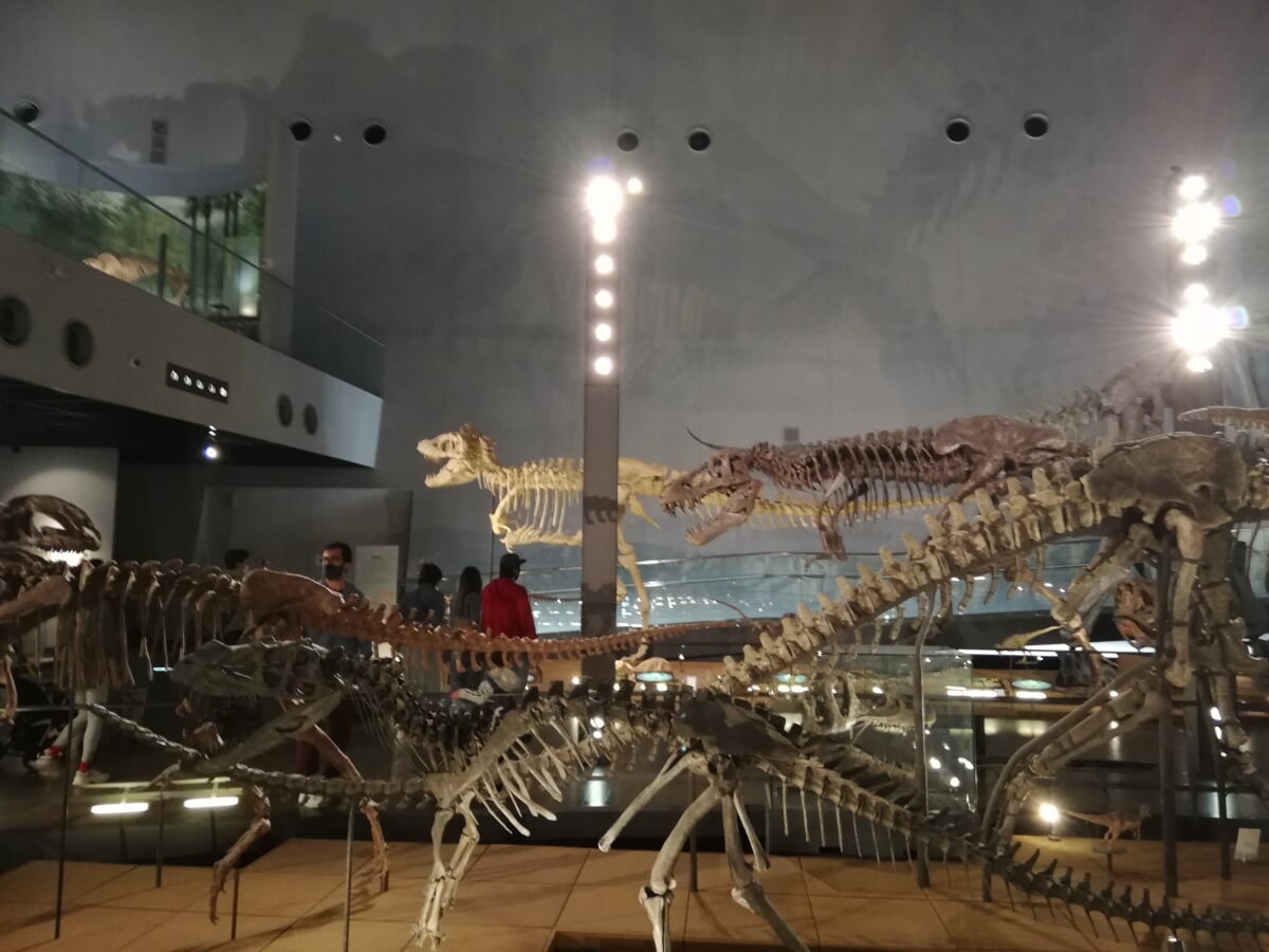 福井県立恐竜博物館の写真5