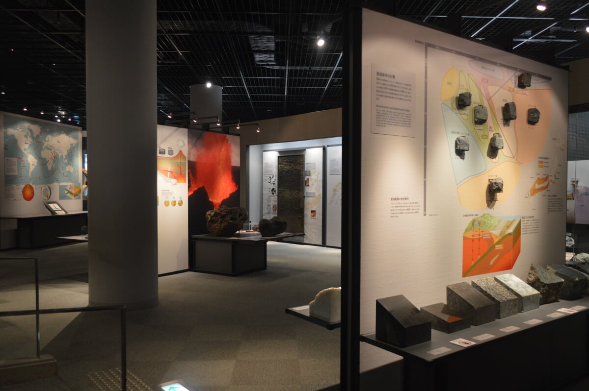 福井県立恐竜博物館の写真6