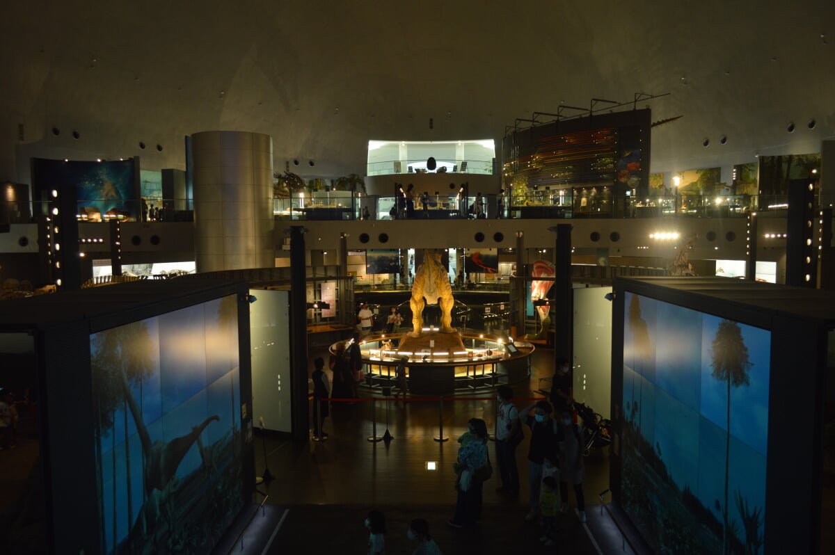 福井県立恐竜博物館の写真7