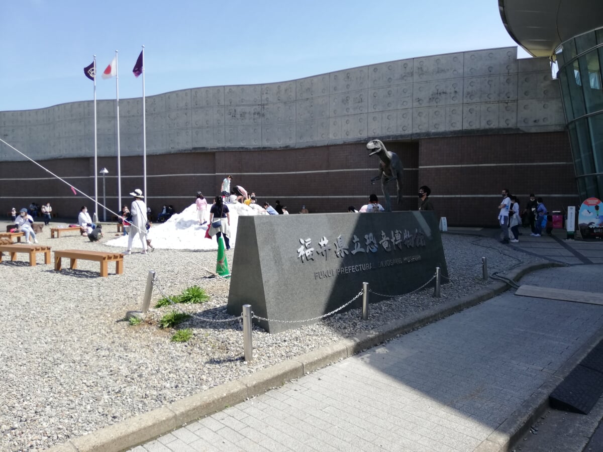 福井県立恐竜博物館の写真8