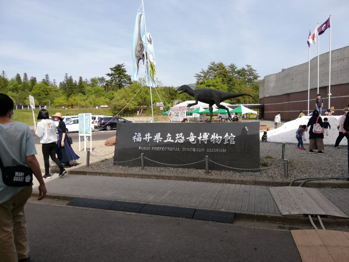 福井県立恐竜博物館の写真10