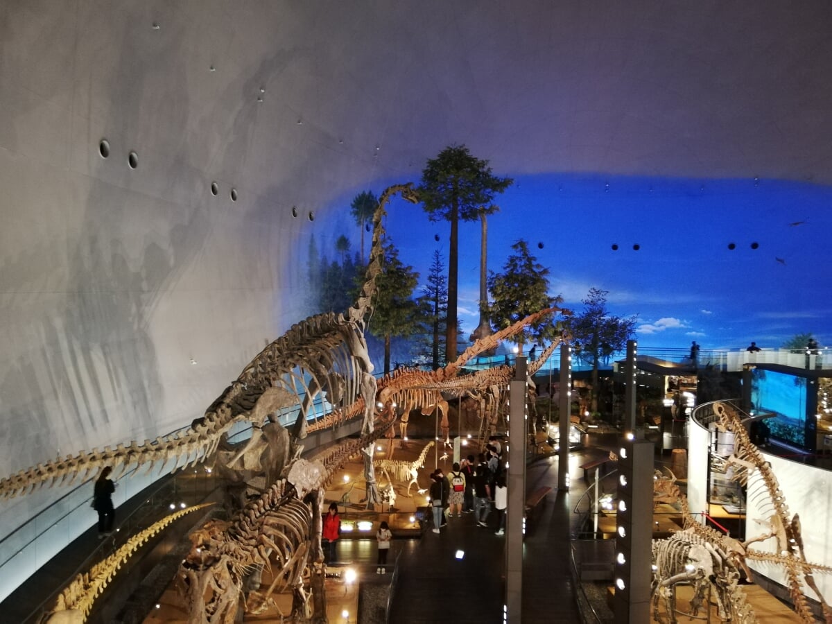 福井県立恐竜博物館の写真11
