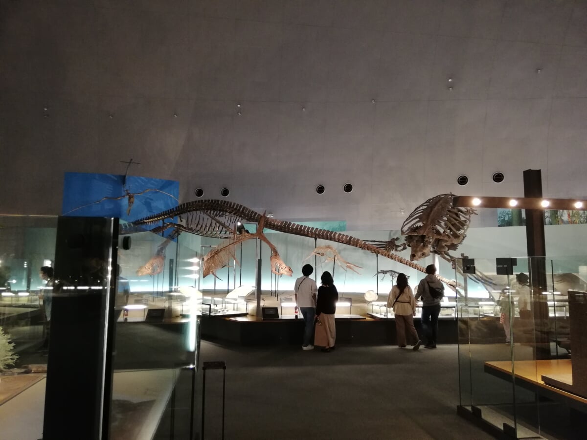 福井県立恐竜博物館の写真13