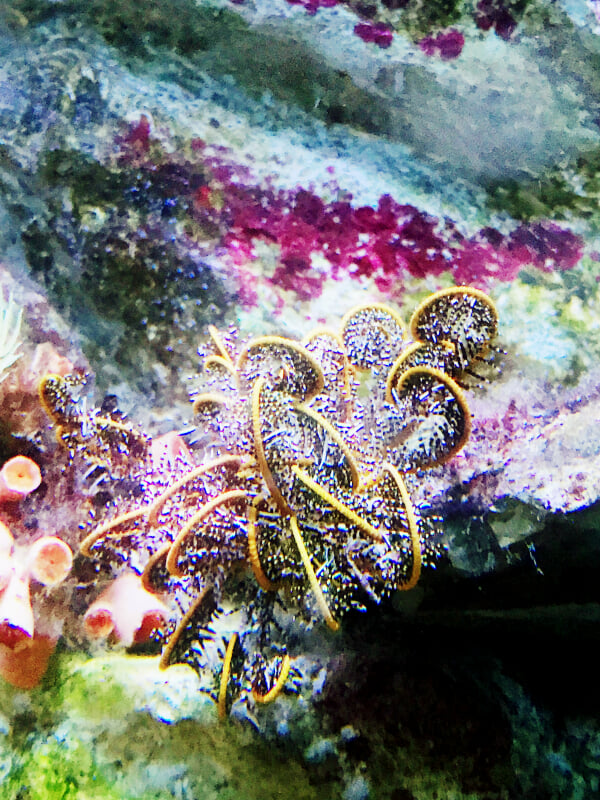 名古屋港水族館の写真2