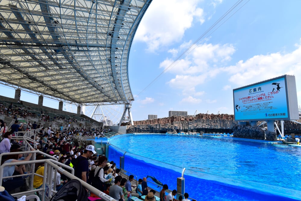 名古屋港水族館の写真8