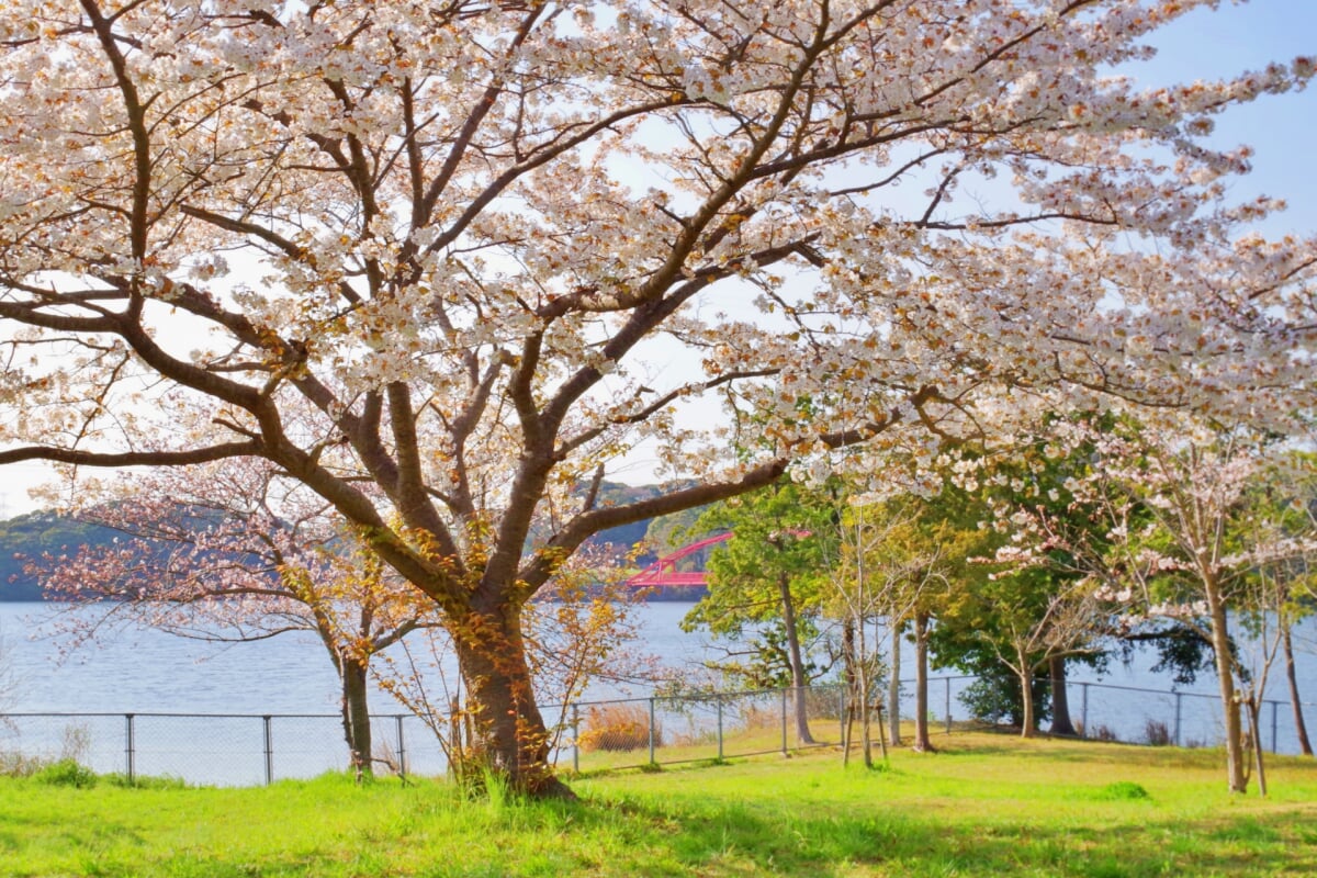 響灘緑地の写真2