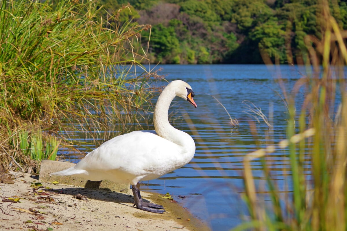 響灘緑地の写真3